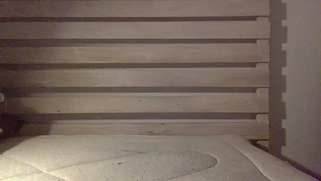 Palinchik online show from February 25, 2:43 am