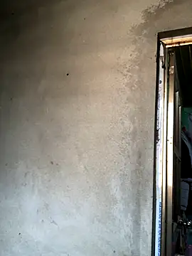 Pege-nii online show from December 19, 6:20 am