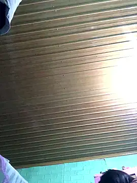 Pege-nii online show from January 15, 10:42 am