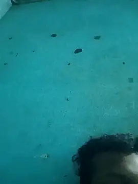 tamilansinsforu online show from April 30, 2:56 pm