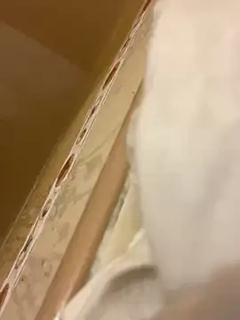 baby young online show from March 6, 11:34 pm