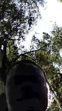 TheVersCouple online show from January 15, 11:26 am