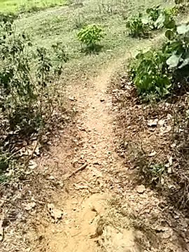 Sheela Sex90 online show from April 19, 6:56 am