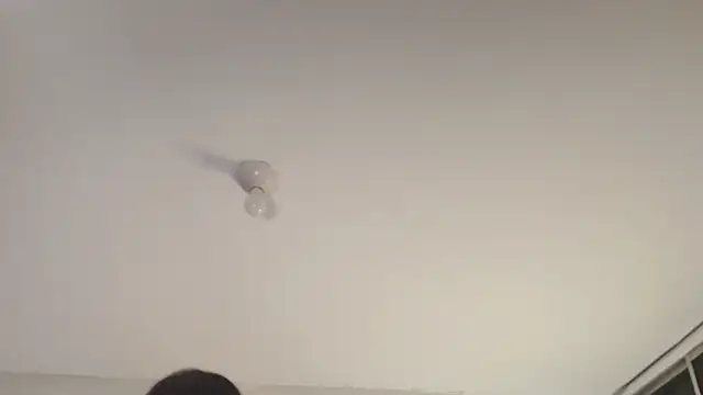 Sofii unicorn online show from March 13, 1:40 pm