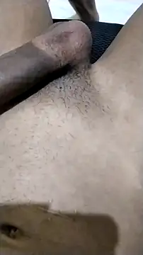 Novinhoie online show from April 12, 7:08 pm