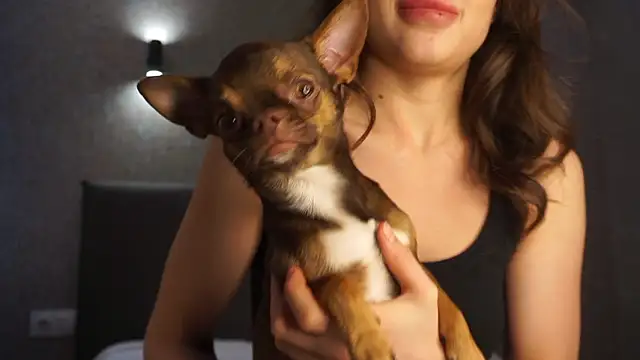 linclars online show from March 6, 1:40 pm