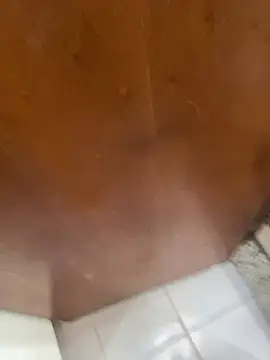 jeanramon01 online show from March 20, 7:30 pm