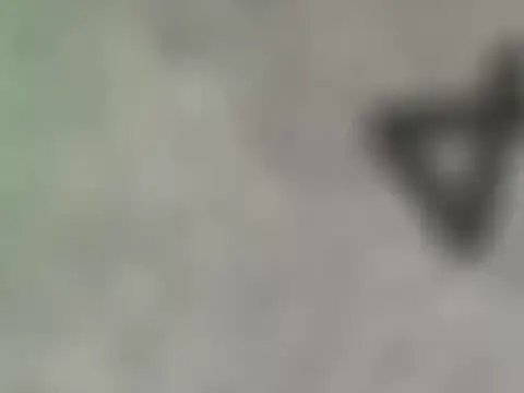 dearornge online show from March 17, 7:01 am