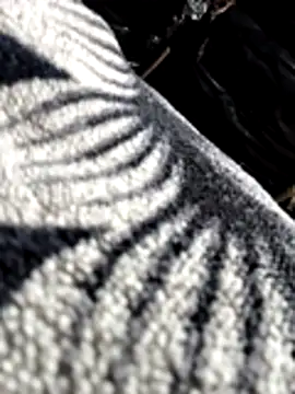 Bhavna8080 online show from February 20, 8:20 pm