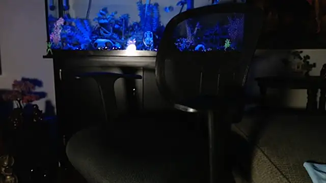 EspanolVato online show from January 10, 10:50 am