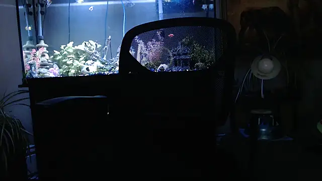 EspanolVato online show from March 26, 12:06 am