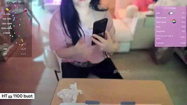 Snapshot of Vesagal chatting on May 22, 4:41 am Vesagal online show from May 22, 4:41 am