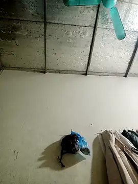 Snapshot of Sana-vn chatting on January 15, 1:48 pm Sana-vn online show from January 15, 1:48 pm