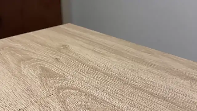 adelaide2026 online show from February 28, 12:17 pm