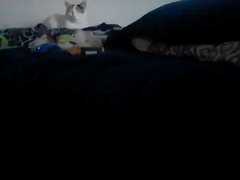 Silencio26 online show from February 24, 9:24 pm