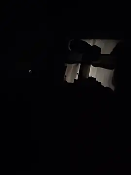 Palomamaximo online show from April 12, 2:00 pm