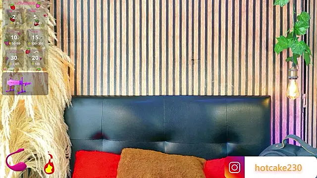 Hiddenhotcake online show from February 25, 7:23 pm