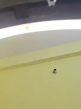 trinasa online show from January 9, 8:10 pm