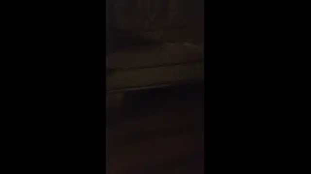 dongoralesko77 online show from April 11, 3:00 am