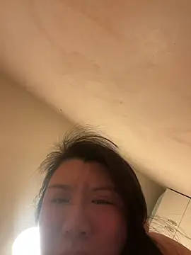 Snapshot of wy2026 chatting on February 11, 4:56 pm wy2026 online show from February 11, 4:56 pm