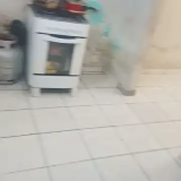 ----bucetuda---- online show from January 7, 2:41 pm