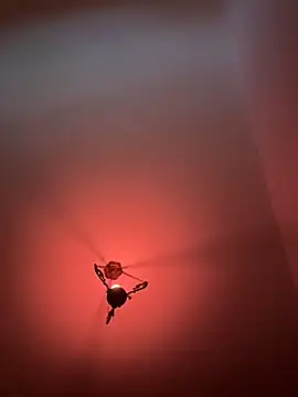 Snapshot of witchdub chatting on February 18, 4:47 pm witchdub online show from February 18, 4:47 pm