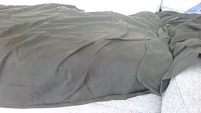 Snapshot of Fiermin19 chatting on February 6, 8:18 am Fiermin19 online show from February 6, 8:18 am