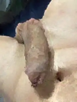 Snapshot of misteryboi chatting on February 1, 12:20 am misteryboi online show from February 1, 12:20 am