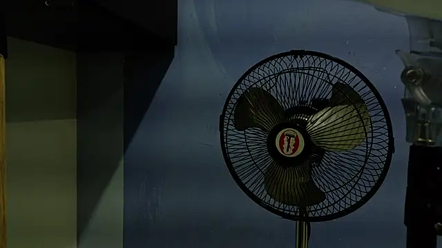 yvi taylor online show from April 13, 12:21 pm