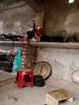 cdyyds-69 online show from February 5, 5:23 am