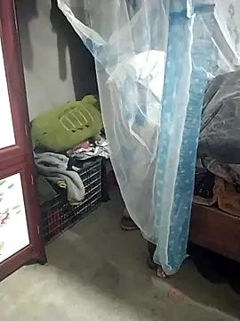 waaini99 online show from March 8, 2:04 am