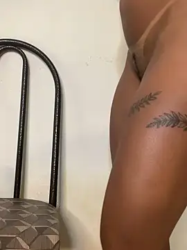 gatadaacademia online show from February 13, 3:30 pm