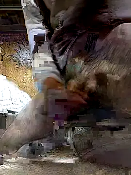 ifuckforreal online show from February 6, 5:16 pm