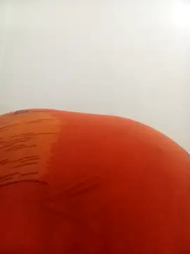 Snapshot of PatriciaVen chatting on February 9, 4:16 am PatriciaVen online show from February 9, 4:16 am