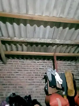 Diana-02 online show from February 28, 11:55 am