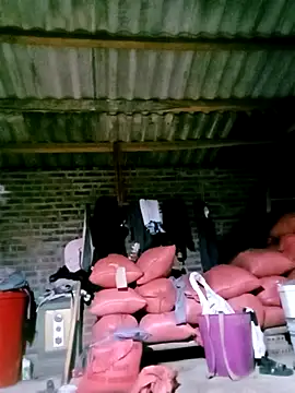 Diana-02 online show from April 4, 11:51 am