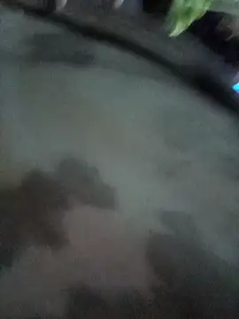 ahsssex2026 online show from February 1, 8:46 am