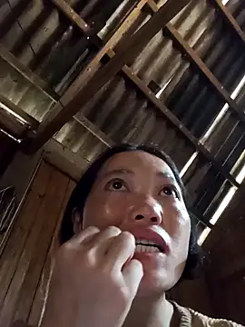 kotaka-shoow online show from March 2, 5:41 am