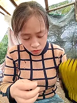 Snapshot of Hari-saka chatting on February 24, 3:04 am Hari-saka online show from February 24, 3:04 am