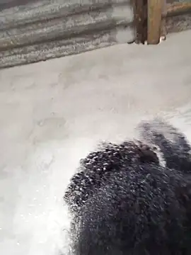 vaniyna online show from February 22, 10:58 am