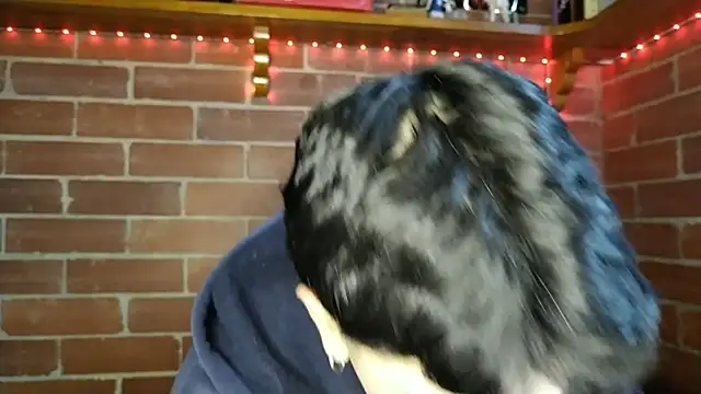 Snapshot of PaulDamico chatting on February 2, 12:15 pm PaulDamico online show from February 2, 12:15 pm