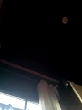 pleujunior online show from February 11, 10:15 pm