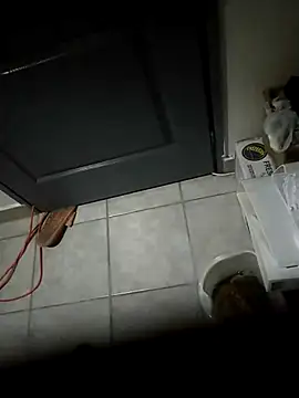 Punciprof online show from April 9, 9:31 pm