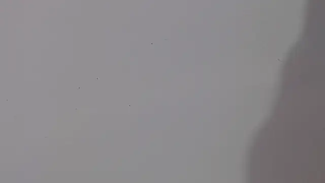 adara cute 69 online show from February 5, 6:12 pm