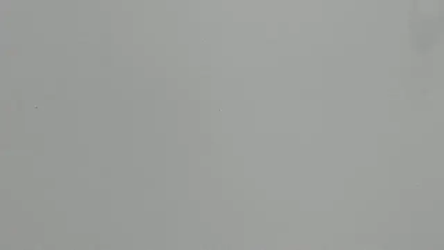 Snapshot of Ashley_Ebony__ chatting on February 18, 12:34 pm Ashley Ebony online show from February 18, 12:34 pm