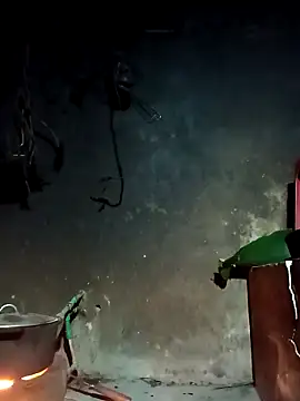 Hoa-tuylip online show from March 4, 10:16 pm