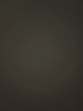 Snapshot of Inanbey chatting on February 6, 12:52 pm Inanbey online show from February 6, 12:52 pm