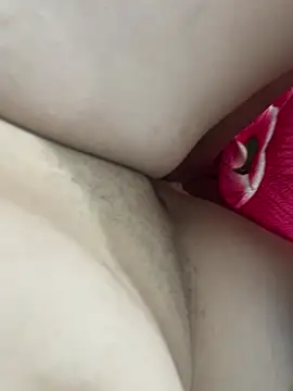 Snapshot of teubrinquedinho chatting on February 24, 6:00 am teubrinquedinho online show from February 24, 6:00 am