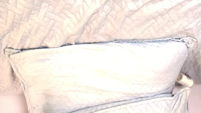 Snapshot of melany_roberts_ chatting on February 20, 6:26 am melany roberts online show from February 20, 6:26 am