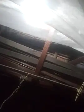 degeneradicto online show from February 15, 5:04 am